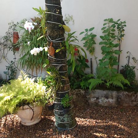 San Remo Apartment Guaruja Bagian luar foto